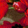Предпросмотр схемы вышивки «№494469»