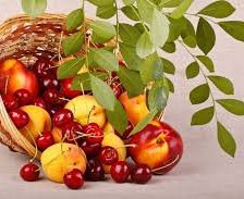 Схема вышивки «№494502»