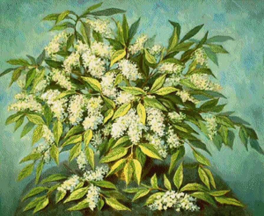 Серия "Букет" - букет, черемуха, цветы - предпросмотр