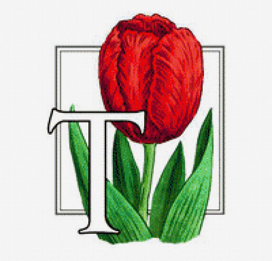 Тюльпаны - тюльпаны, цветок, цветы - предпросмотр