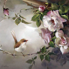 Схема вышивки «Розы и птица»