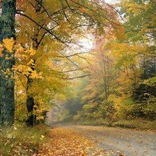 Схема вышивки «Осень»