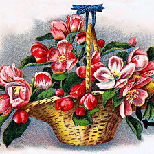 Схема вышивки «яблоневый цвет»