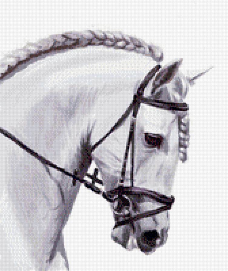 белый конь 30 - предпросмотр