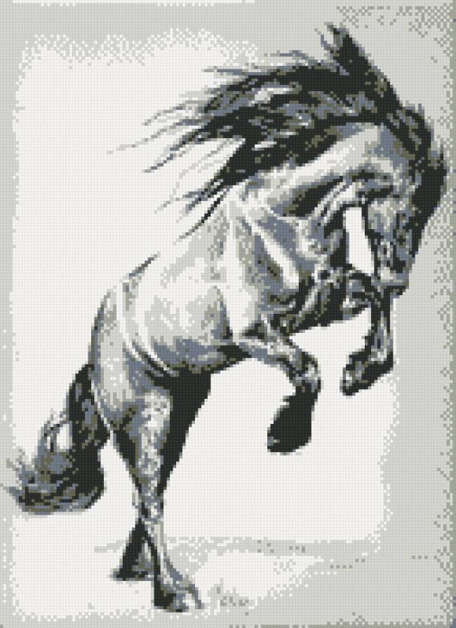 конь - лошадь, грива, конь, скакун - предпросмотр