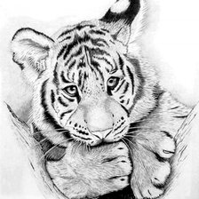 Схема вышивки «Тигренок»