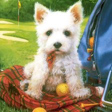 Схема вышивки «№495519»