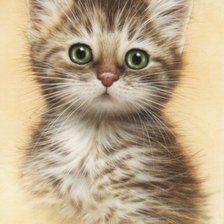 Схема вышивки «Милый пушистик»