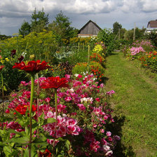 Схема вышивки «цветы»
