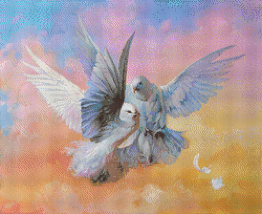 голуби - предпросмотр