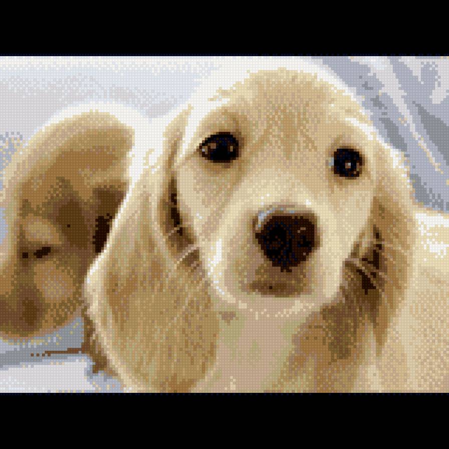 собачки - животные - предпросмотр