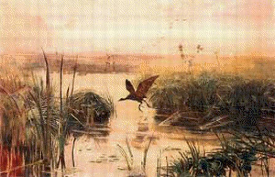 odlot - ocen, ziwopis - предпросмотр