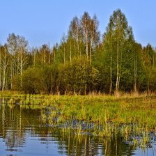 Схема вышивки «серия "пейзажы"»