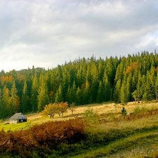 Схема вышивки «серия "природа"»