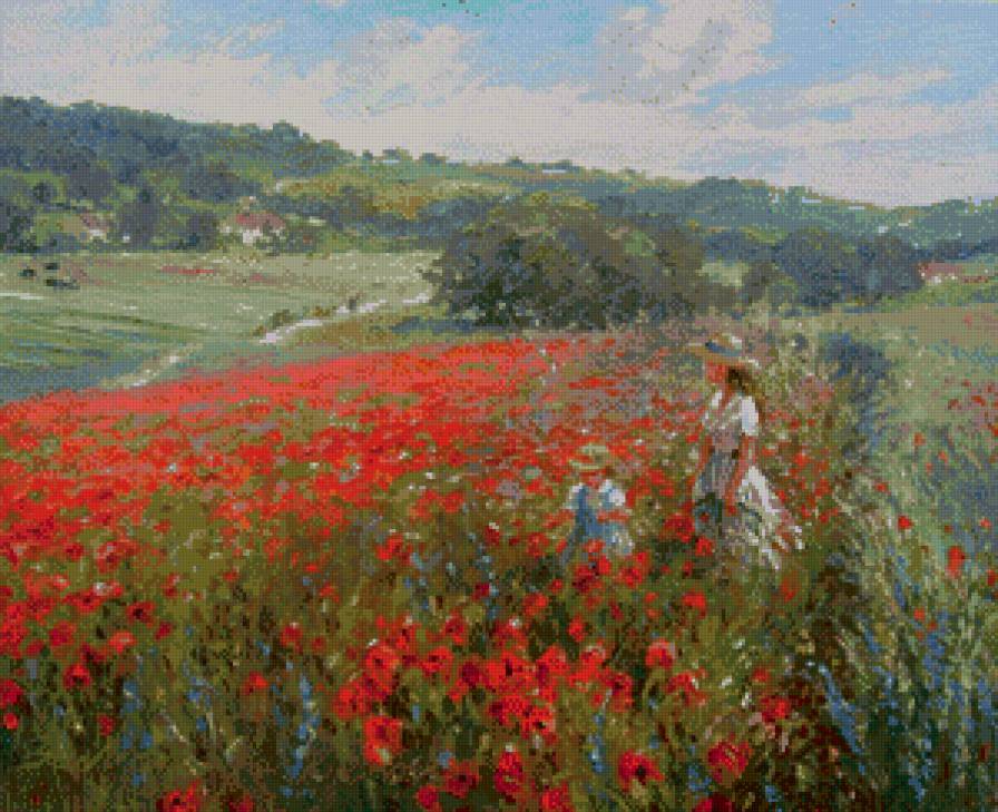 Maki na lące - cwety, pejzaz - предпросмотр