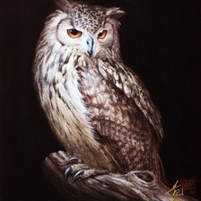 Схема вышивки «сова»