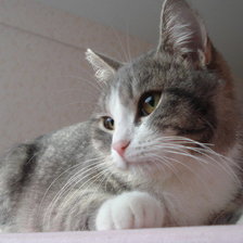 Схема вышивки «№496083»