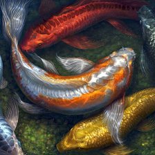 Схема вышивки «карпы»