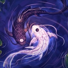 карпы инь-янь