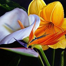 Схема вышивки «Экзотические цветы»