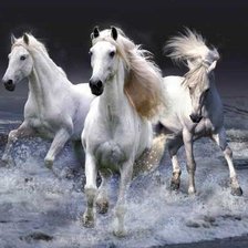 Схема вышивки «Лошади»