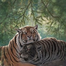 Схема вышивки «пара тигров»