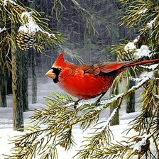 Схема вышивки «В зимнем лесу»