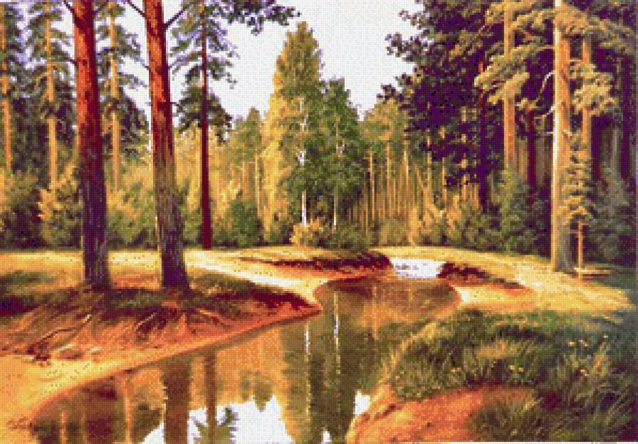 сосновый лес - пейзаж, речка, лес - предпросмотр