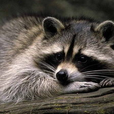 Схема вышивки «№496667»