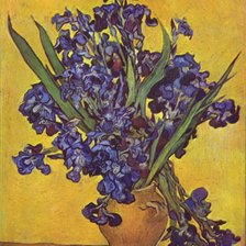 Схема вышивки «Ван Гог Ирисы»