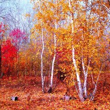 Схема вышивки «багрец и золото»