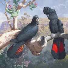 Схема вышивки «Серия "Птицы"»