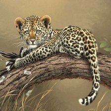 Схема вышивки «эти забавные животные»