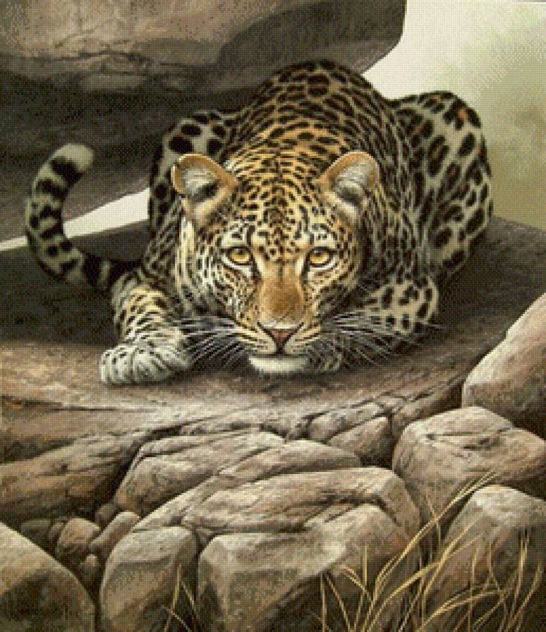 эти забавные животные - предпросмотр