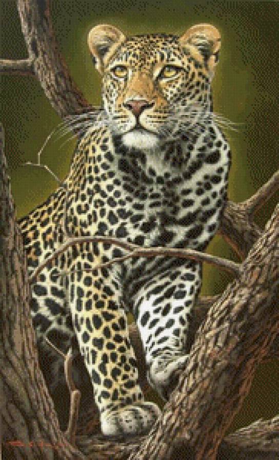 эти забавные животные - предпросмотр