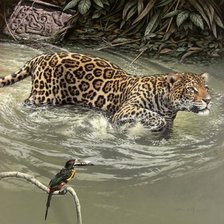 эти забавные животные