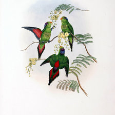 Схема вышивки «Серия "Птички-невелички"»