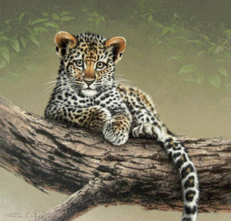 эти забавные животные - предпросмотр