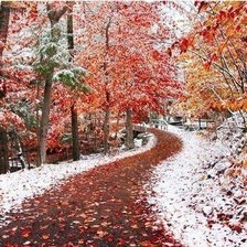 Схема вышивки «Осень встретилась с зимой»