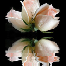 Схема вышивки «№497072»