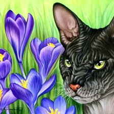 Схема вышивки «Кошка и Цветы»