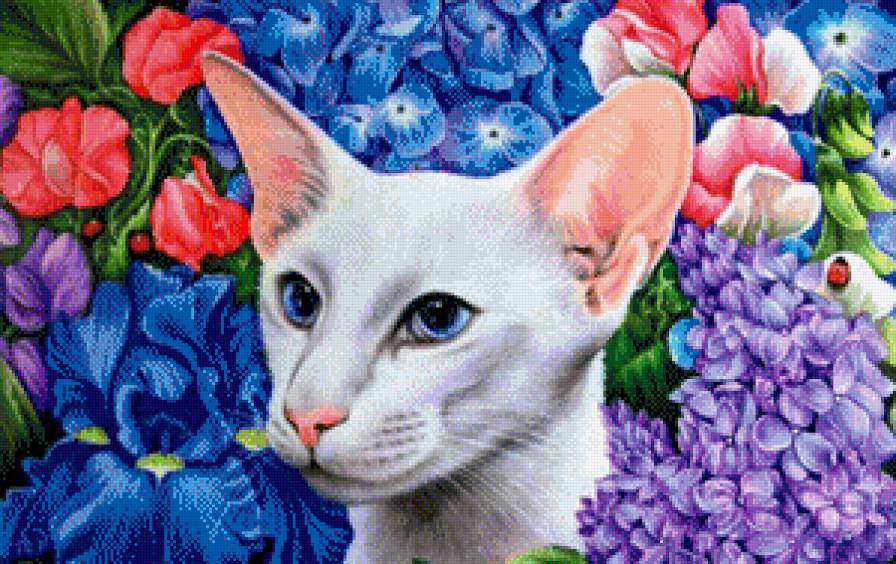 Кошка и Цветы - картина, цветы, животное, кот, пейзаж, кошка - предпросмотр