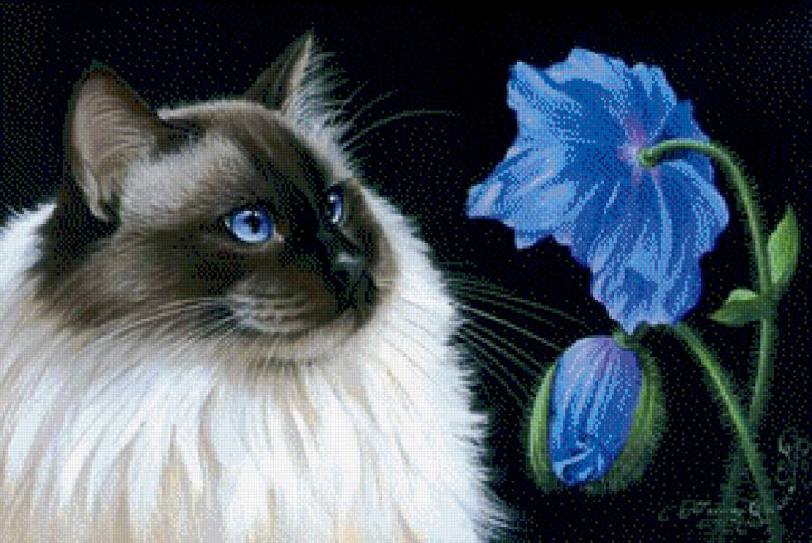 Кошка и Цветы - цветы, кот, кошка, картина, пейзаж, животное - предпросмотр