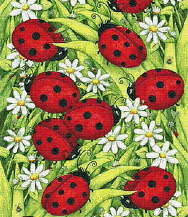 Букашки - букашки, ромашки, божьи коровки - предпросмотр