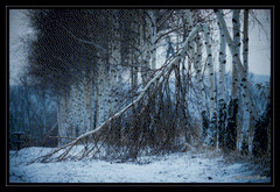 Jesienny pejzaz,bieriozy - предпросмотр