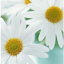 Схема вышивки «№497272»