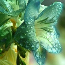 Схема вышивки «№497317»