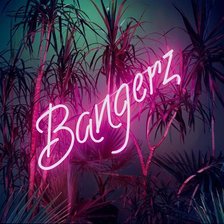 Схема вышивки «Майли Сайрус»