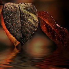 Схема вышивки «№497324»