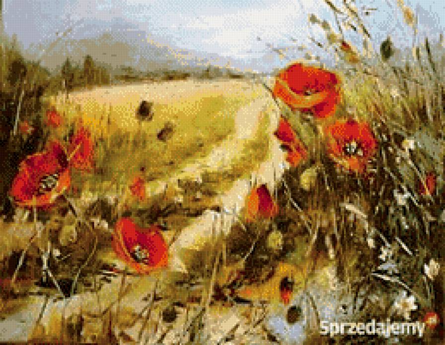 Maki na doroge - ziwopis, cwety, maki - предпросмотр